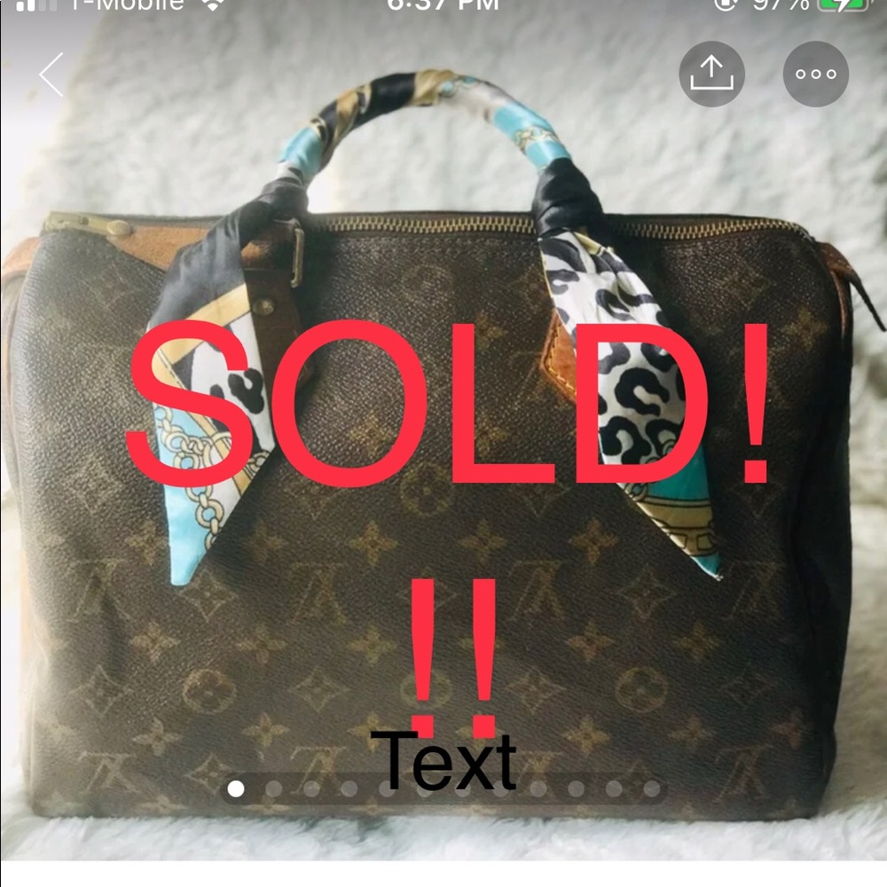 Louis Vuitton speedy 30
